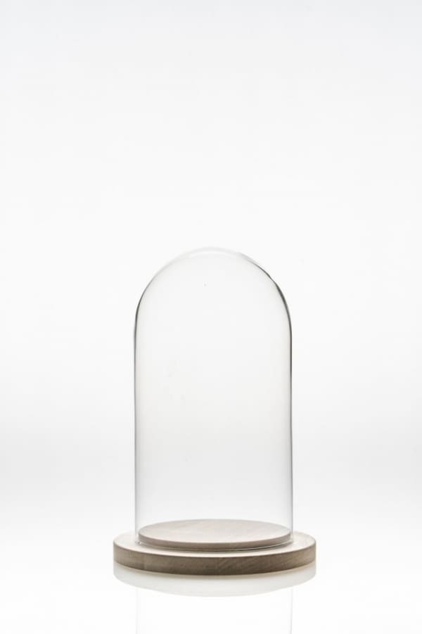 cupola sticla 15 cm | Petal Flowers